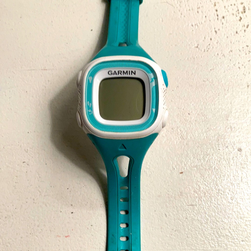 Garmin Forerunner Watch